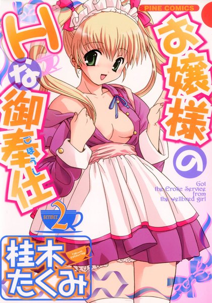 お嬢様のHな御奉仕｜桂木たくみ×メイド 評価