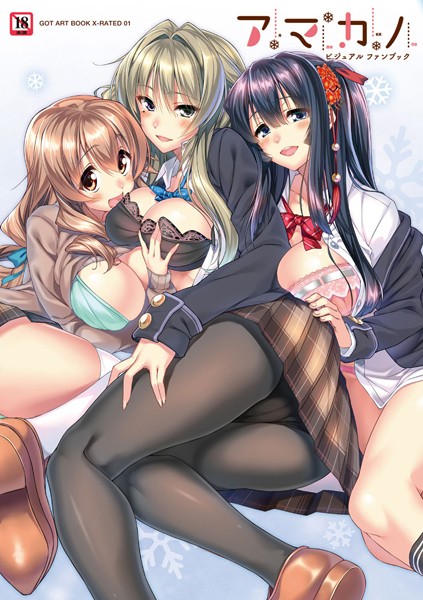 アマカノビジュアルファンブック｜ピロ水×単行本 評価5.00