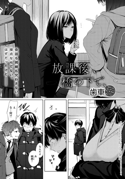 放課後、橋の下で、（単話）｜歯車×単話 評価4.75