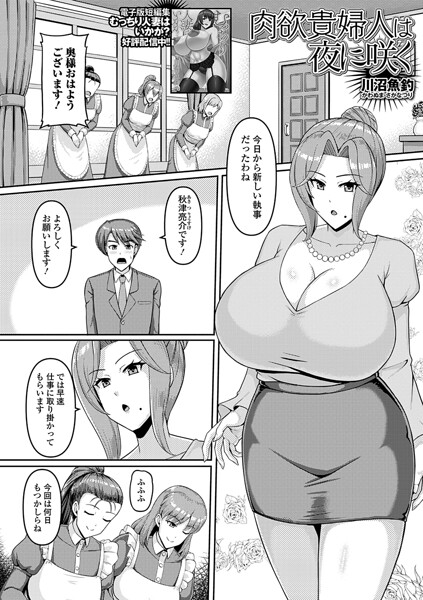 肉欲貴婦人は夜に咲く（単話）（単話）｜川沼魚釣×単話 評価