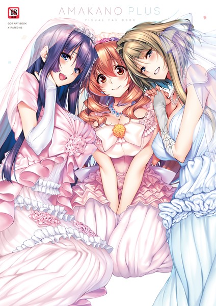 アマカノ＋ ビジュアルファンブック｜ピロ水×単行本 評価5.00