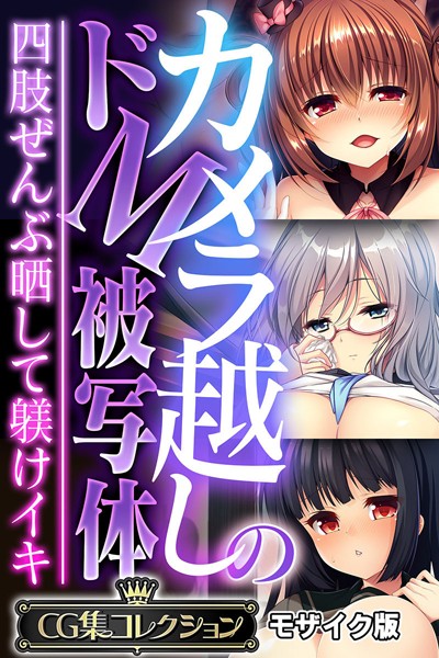 カメラ越しのドM被写体 〜四肢ぜんぶ晒して躾けイキ〜【CG集コレクション】 モザイク版｜大人のSEXY絵本×フルカラー 評価