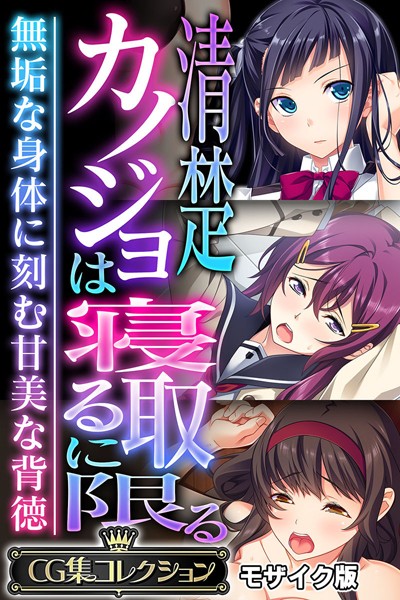 清楚カノジョは寝取るに限る 〜無垢な身体に刻む甘美な背徳〜【CG集コレクション】 モザイク版｜大人のSEXY絵本×フルカラー 評価