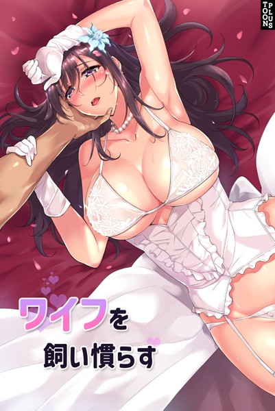 ワイフを飼い慣らす｜JJM×フルカラー 評価4.20