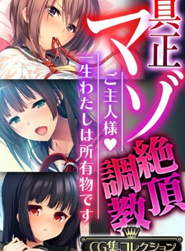 真正マゾ絶頂調教 〜ご主人様 一生わたしは所有物です〜【CG集コレクション】｜大人のSEXY絵本×単行本 評価