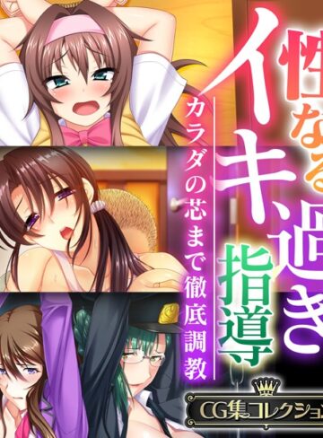 性なるイキ過ぎ指導 〜カラダの芯まで徹底調教〜 【CG集コレクション】｜大人のSEXY絵本×単行本 評価