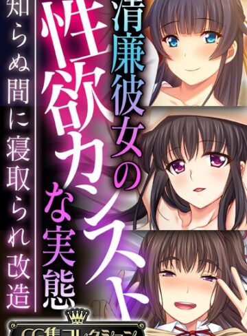 清廉彼女の性欲カンストな実態 〜知らぬ間に寝取られ改造〜【CG集コレクション】｜大人のSEXY絵本×単行本 評価