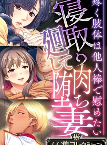 寝取り廻して肉堕ち妻 〜疼く肢体は他人棒で慰めたい〜【CG集コレクション】｜大人のSEXY絵本×単行本 評価