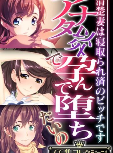 アナタ以外で孕んで堕ちたいの 〜清楚妻は寝取られ済のビッチです〜【CG集コレクション】｜大人のSEXY絵本×単行本 評価