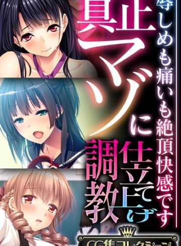 真正マゾに仕立て上げ調教 〜辱しめも痛いも絶頂快感です〜【CG集コレクション】｜大人のSEXY絵本×単行本 評価