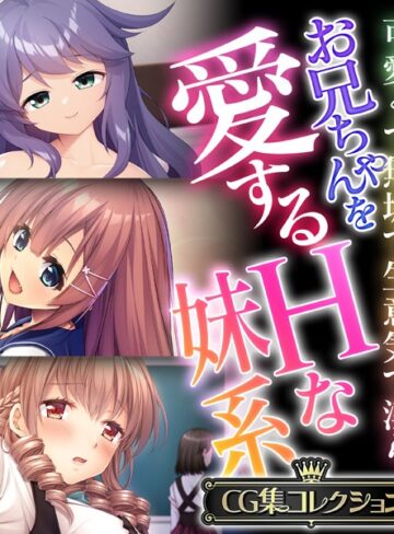 お兄ちゃんを愛するHな妹系 〜可愛くて無垢で生意気で淫ら〜【CG集コレクション】｜大人のSEXY絵本×単行本 評価