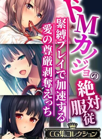ドMカノジョの絶対服従 〜緊縛プレイで加速する愛の尊厳剥奪えっち〜【CG集コレクションBIG】｜大人のSEXY絵本×単行本 評価