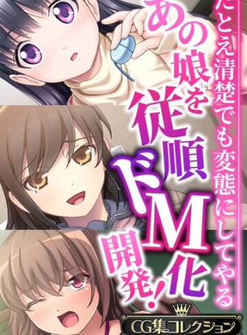 あの娘を従順ドM化開発！〜たとえ清楚でも変態にしてやる〜【CG集コレクションBIG】｜大人のSEXY絵本×単行本 評価