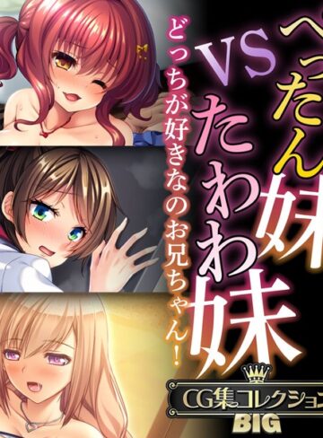 ぺったん妹VSたわわ妹〜どっちが好きなのお兄ちゃん！〜【CG集コレクションBIG】｜大人のSEXY絵本×単行本 評価
