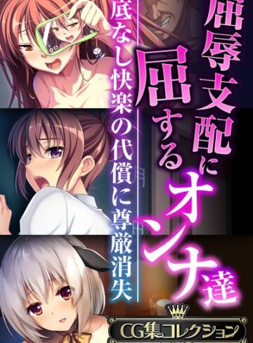 屈辱支配に屈するオンナ達 〜底なし快楽の代償に尊厳消失〜【CG集コレクションBIG】｜大人のSEXY絵本×単行本 評価