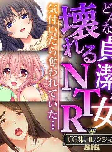 どんな貞潔な女も壊れるNTR〜気付いたら奪われていた…〜【CG集コレクションBIG】｜大人のSEXY絵本×単行本 評価