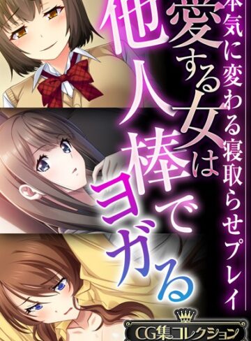 愛する女は他人棒でヨガる 〜本気に変わる寝取らせプレイ〜【CG集コレクションBIG】｜大人のSEXY絵本×単行本 評価