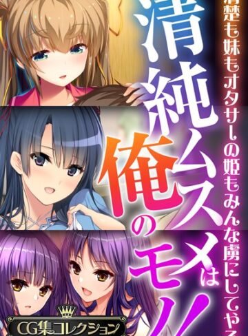 清純ムスメは俺のモノ！〜清楚も妹もオタサーの姫もみんな虜にしてやる〜【CG集コレクションBIG】｜大人のSEXY絵本×単行本 評価