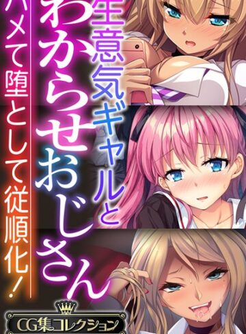 生意気ギャルとわからせおじさん 〜ハメて堕として従順化！〜【CG集コレクションBIG】｜大人のSEXY絵本×単行本 評価