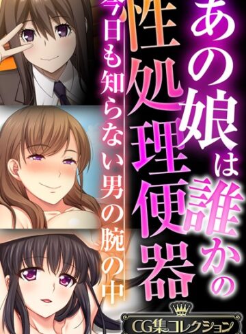 あの娘は誰かの性処理便器 〜今日も知らない男の腕の中〜【CG集コレクションBIG】｜大人のSEXY絵本×単行本 評価