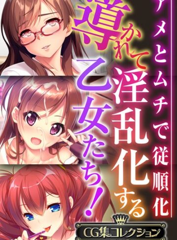 導かれて淫乱化する乙女たち！〜アメとムチで従順化〜【CG集コレクションBIG】｜大人のSEXY絵本×単行本 評価