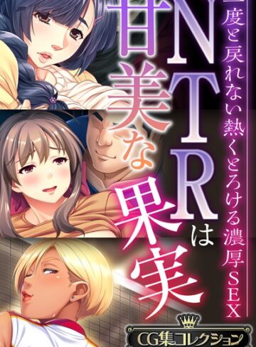 NTRは甘美な果実〜二度と戻れない熱くとろける濃厚SEX〜【CG集コレクションBIG】｜大人のSEXY絵本×単行本 評価