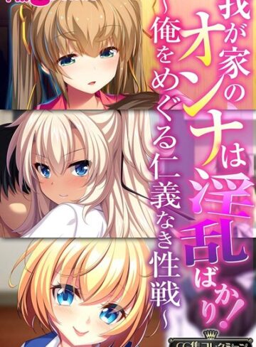 我が家のオンナは淫乱ばかり！〜俺をめぐる仁義なき性戦〜【CG集コレクションBIG】｜大人のSEXY絵本×単行本 評価