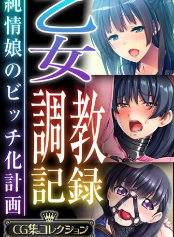 乙女調教記録〜純情娘のビッチ化計画〜【CG集コレクションBIG】｜大人のSEXY絵本×単行本 評価