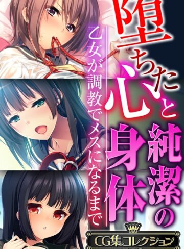 堕ちた心と純潔の身体〜乙女が調教でメスになるまで〜【CG集コレクションBIG】｜大人のSEXY絵本×単行本 評価