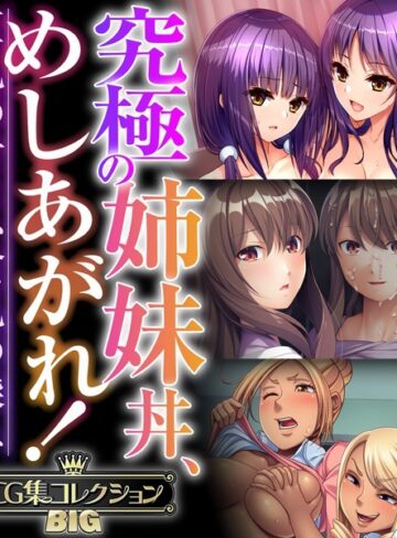 究極の姉妹丼、めしあがれ！〜巨乳の甘さ、貧乳の深み〜【CG集コレクションBIG】｜大人のSEXY絵本×単行本 評価