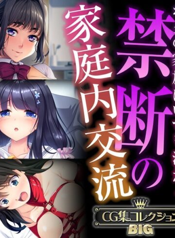 禁断の家庭内交流 〜ボクの家族はいつも汁だく〜【CG集コレクションBIG】｜大人のSEXY絵本×単行本 評価