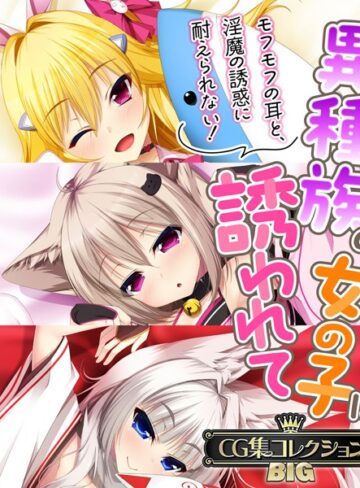 異種族の女の子に誘われて 〜モフモフの耳と、淫魔の誘惑に耐えられない！〜【CG集コレクションBIG】｜大人のSEXY絵本×単行本 評価