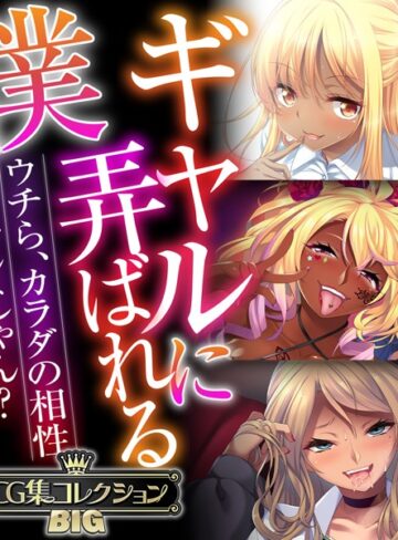 ギャルに弄ばれる僕 〜ウチら、カラダの相性バッチシじゃん？〜【CG集コレクションBIG】｜大人のSEXY絵本×単行本 評価