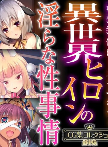 異世界ヒロインの淫らな性事情 〜最強装備はドスケベボディ〜【CG集コレクションBIG】｜大人のSEXY絵本×単行本 評価