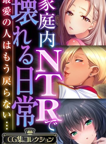 家庭内NTRで壊れる日常 〜最愛の人はもう戻らない…〜【CG集コレクションBIG】｜大人のSEXY絵本×単行本 評価