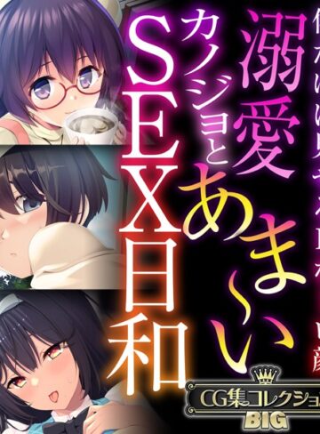 溺愛カノジョとあま〜いSEX日和 〜僕だけに見せるHなトロ顔〜【CG集コレクションBIG】｜大人のSEXY絵本×単行本 評価