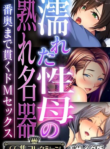 濡れた性母の熟れ名器 〜一番奥まで貫くドMセックス〜【CG集コレクション】 モザイク版｜大人のSEXY絵本×フルカラー 評価