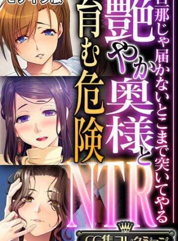 艶やか奥様と育む危険NTR 〜旦那じゃ届かないとこまで突いてやる〜【CG集コレクション】 モザイク版｜大人のSEXY絵本×フルカラー 評価