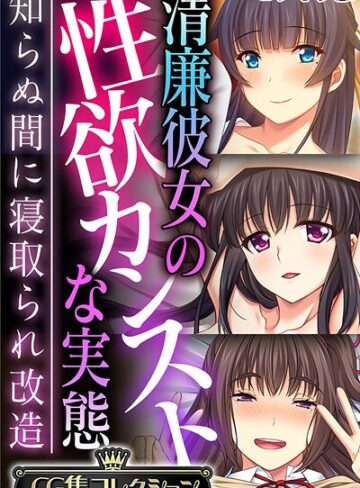 清廉彼女の性欲カンストな実態 〜知らぬ間に寝取られ改造〜【CG集コレクション】 モザイク版｜大人のSEXY絵本×フルカラー 評価