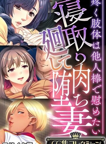 寝取り廻して肉堕ち妻 〜疼く肢体は他人棒で慰めたい〜【CG集コレクション】 モザイク版｜大人のSEXY絵本×フルカラー 評価