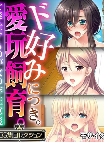ド好みにつき。愛玩飼育。 〜ご奉仕するのが女の存在意義〜【CG集コレクション】 モザイク版｜大人のSEXY絵本×フルカラー 評価