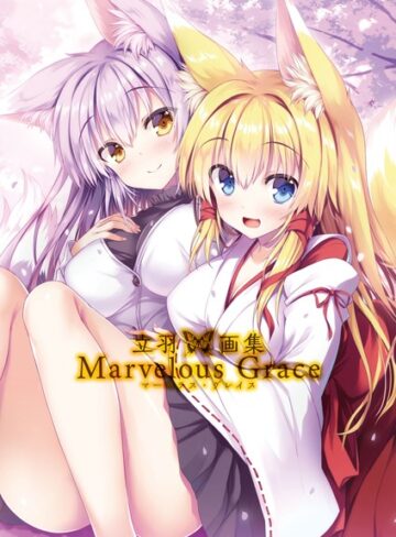 立羽画集 Marvelous Grace｜立羽×単行本 評価