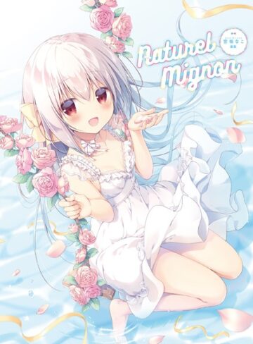 Naturel Mignon -宮坂なこ画集-｜宮坂なこ×イラスト・CG集 評価