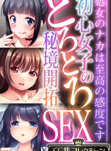 初心女子のとろとろ秘境開拓SEX 〜処女のナカは至高の感度です〜【CG集コレクション】｜大人のSEXY絵本×単行本 評価