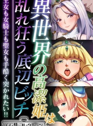 異世界の高潔姫は乱れ狂う底辺ビッチ 〜王女も女騎士も聖女も手酷く突かれたい！！〜【CG集コレクション ミニ】｜大人のSEXY絵本×単行本 評価