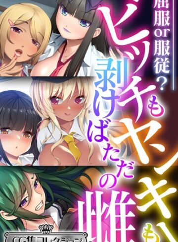 ビッチもヤンキーも剥けばただの雌 〜屈服or服従？〜【CG集コレクション ミニ】｜大人のSEXY絵本×単行本 評価