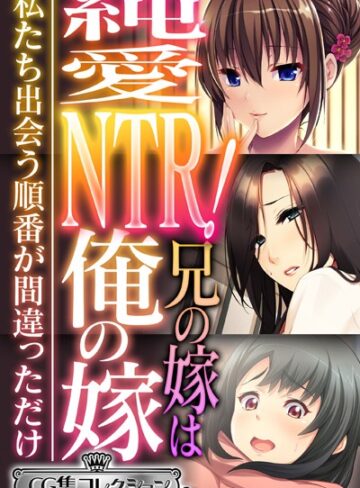 純愛NTR！兄の嫁は俺の嫁 〜私たち出会う順番が間違っただけ〜【CG集コレクション ミニ】｜大人のSEXY絵本×単行本 評価