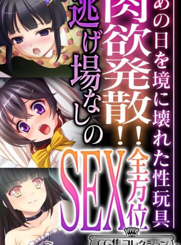 肉欲発散！！逃げ場なしの全方位SEX 〜あの日を境に壊れた性玩具〜【CG集コレクション ミニ】｜大人のSEXY絵本×単行本 評価