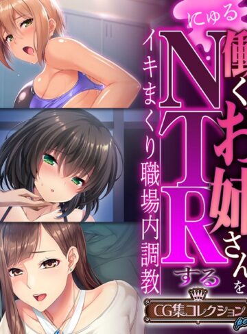 働くお姉さんをNTRする 〜イキまくり職場内調教〜【CG集コレクション プチ】｜大人のSEXY絵本×単行本 評価