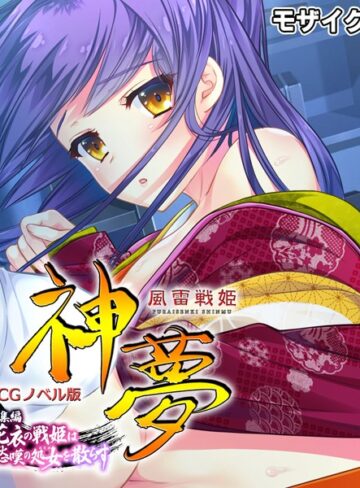 風雷戦姫 神夢 CGノベル版 総集編 〜花衣の戦姫は愁嘆の処女を散らす〜 モザイク版｜大人のSEXY絵本×単行本 評価